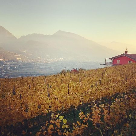 Вилла Agritur Maso Spezial Villa Lagarina Экстерьер фото