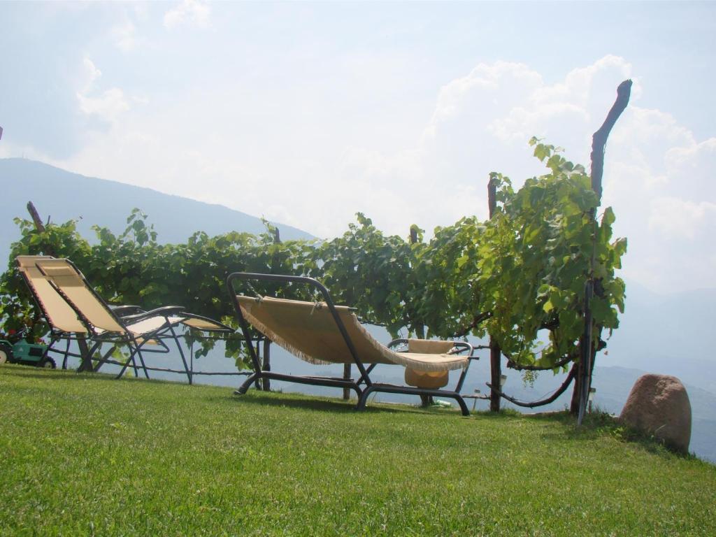 Вилла Agritur Maso Spezial Villa Lagarina Экстерьер фото