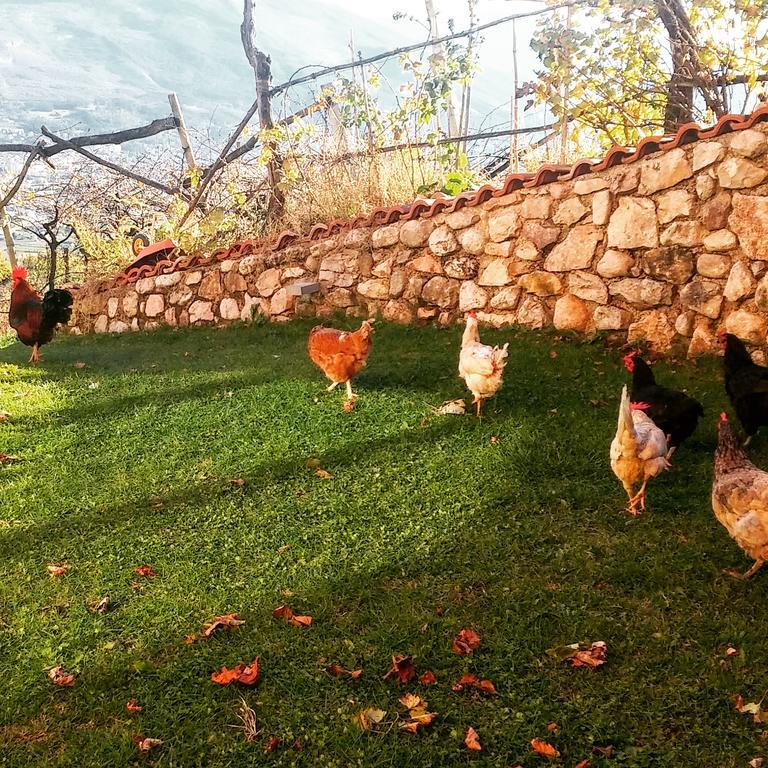 Вилла Agritur Maso Spezial Villa Lagarina Экстерьер фото