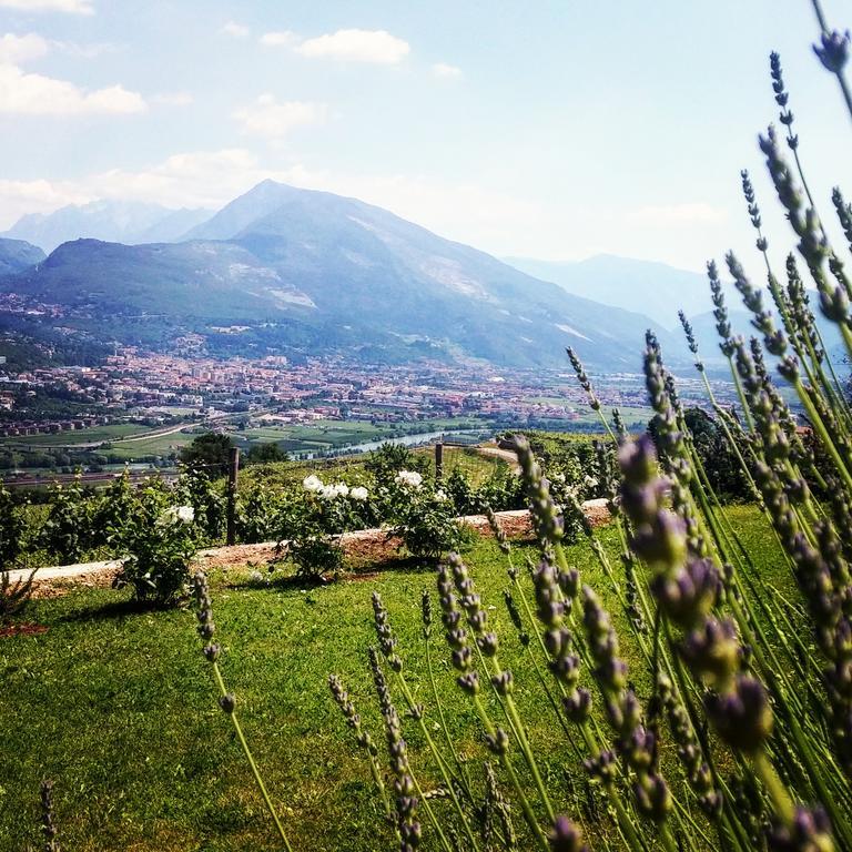 Вилла Agritur Maso Spezial Villa Lagarina Экстерьер фото